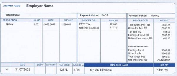 Standard Blue Payslip