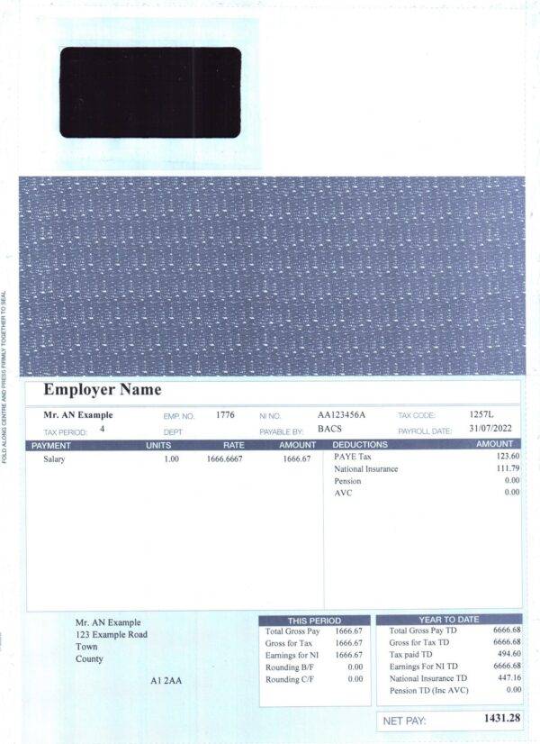 Premium RS34 Payslips