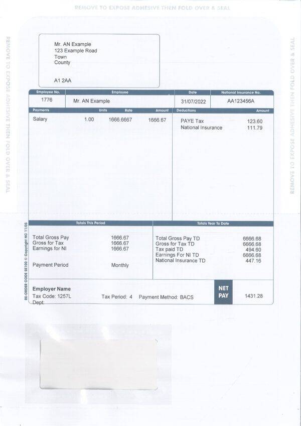 Premium SE100 Payslips