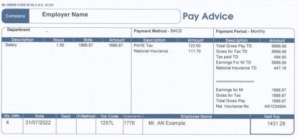 Standard SE95 Payslips