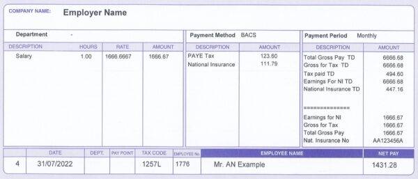 Standard White Payslip