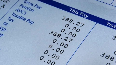 Can a Payslip Serve as Proof of Employment?