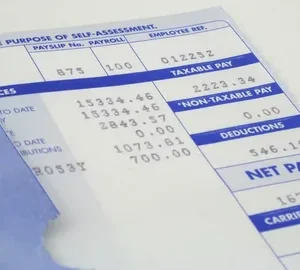 Get a Replacement Payslips Get a Replacement Payslips